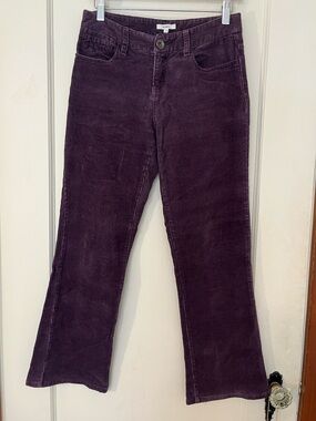 Bossini Purple Corduroy Boot Cut Pants